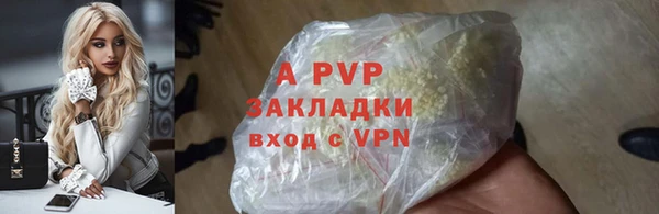 СК Белокуриха