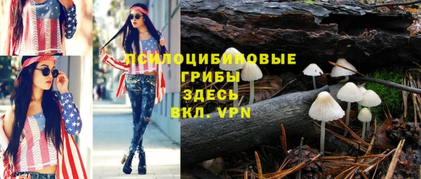 СК Белокуриха