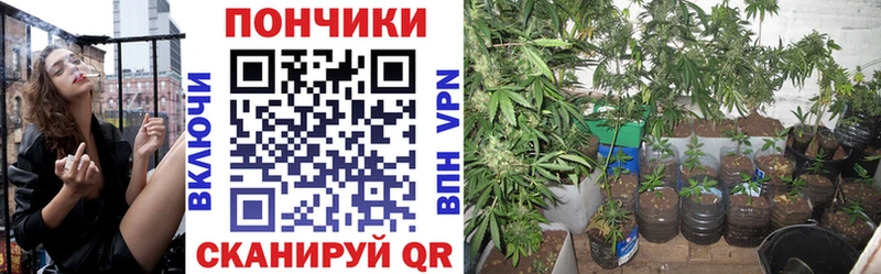 как найти закладки  Рудня  Марихуана AK-47 